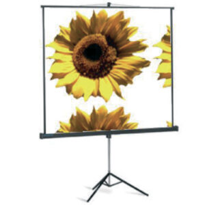 Ecran blanc 220x150CM